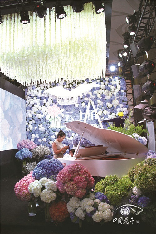 炫”只是表象　轉變才是內核