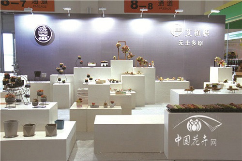 炫”只是表象　轉變才是內核