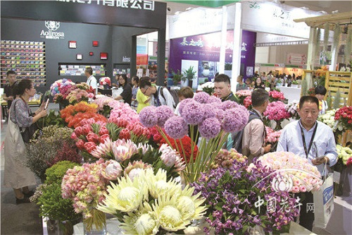 炫”只是表象　轉變才是內核