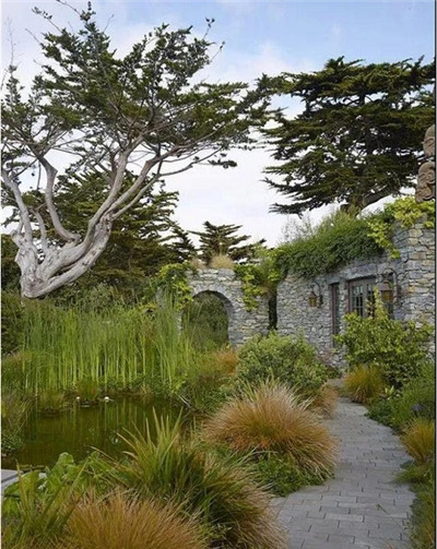 觀賞草在園林景觀中的運用