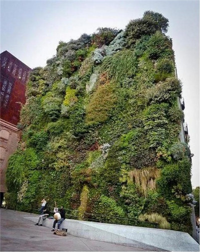 觀賞草在園林景觀中的運用