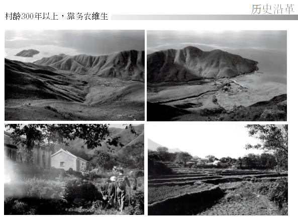 汪怡嘉:《特色城鎮的景觀設計與實踐---二澳農場規劃設計》