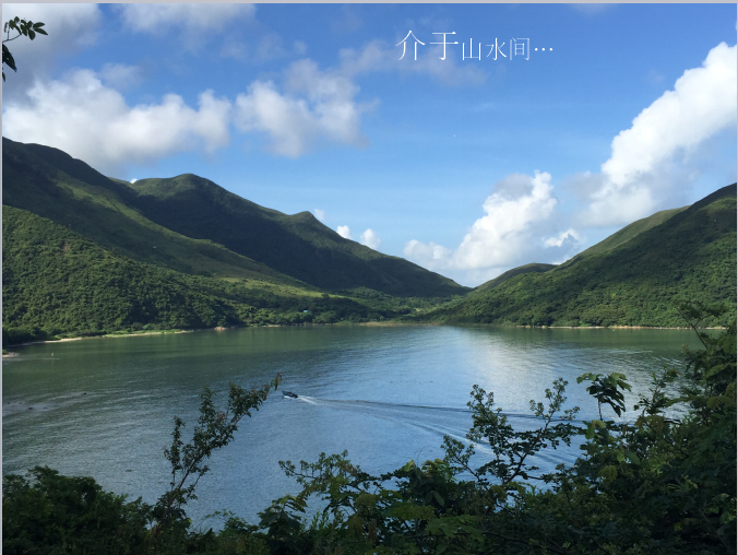 汪怡嘉:《特色城鎮的景觀設計與實踐---二澳農場規劃設計》