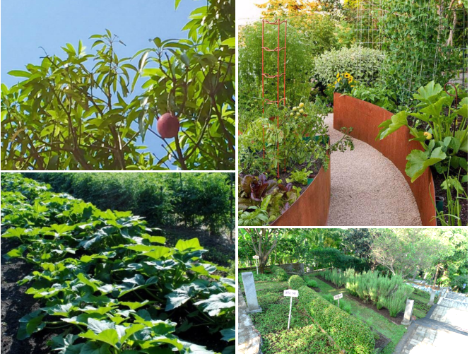 汪怡嘉:《特色城鎮的景觀設計與實踐---二澳農場規劃設計》