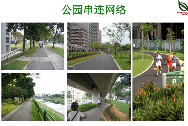 蔡福祥:《新加坡園林建設與管理》