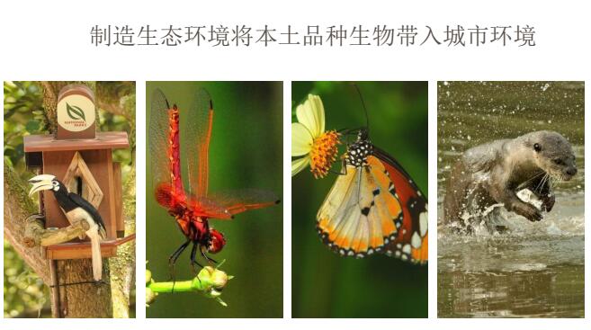 蔡福祥:《新加坡園林建設與管理》