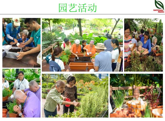 蔡福祥:《新加坡園林建設與管理》