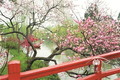 在有限土地上有效提高城市綠量