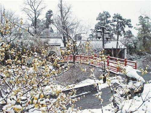 在有限土地上有效提高城市綠量