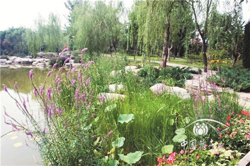 在有限土地上有效提高城市綠量