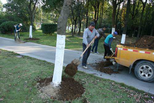 園林植物的養(yǎng)護管理措施