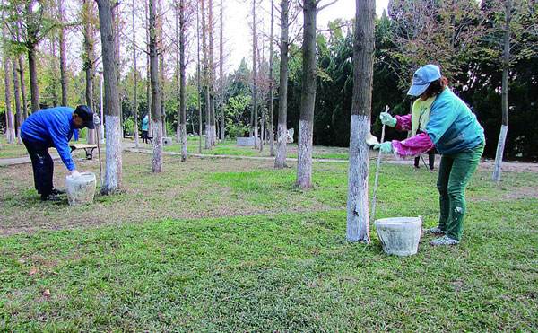 園林植物的養(yǎng)護管理措施