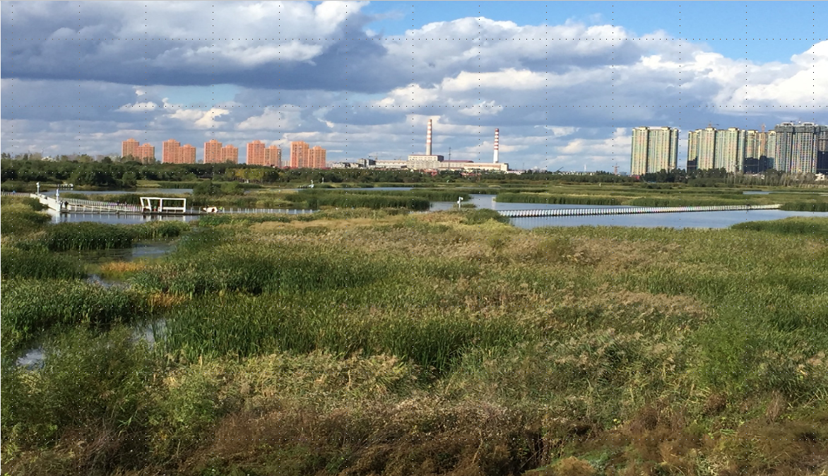 許大為：突破與演變——新理念下的公園城市建設