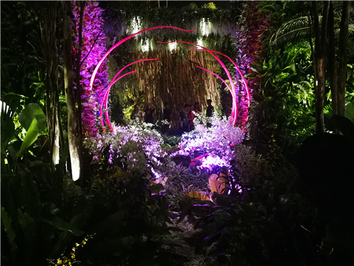 新加坡景觀專業考察 走進夢幻般的新加坡花園節