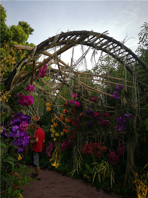 新加坡景觀專業考察 走進夢幻般的新加坡花園節