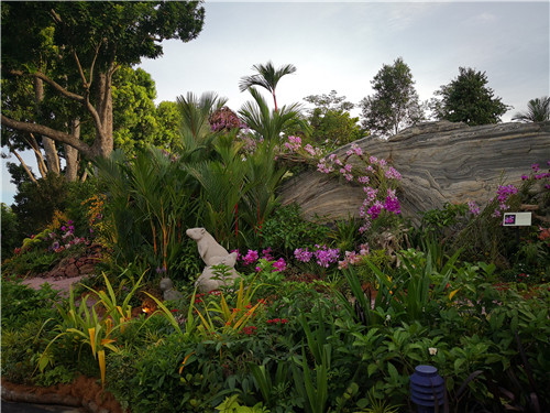 新加坡景觀專業考察 走進夢幻般的新加坡花園節