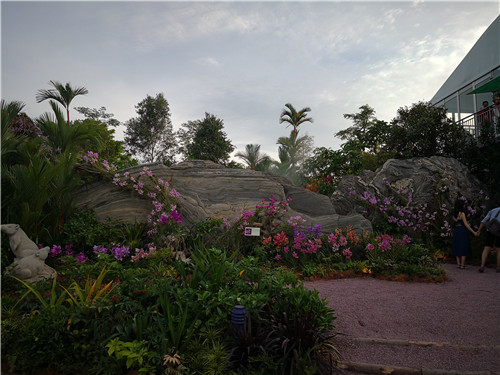 新加坡景觀專業考察 走進夢幻般的新加坡花園節
