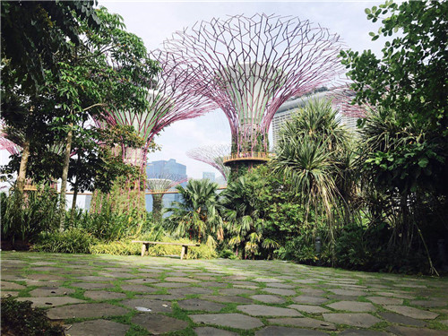 新加坡景觀專業考察 走進夢幻般的新加坡花園節