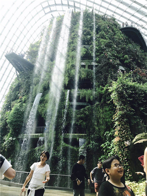 新加坡景觀專業考察 走進夢幻般的新加坡花園節