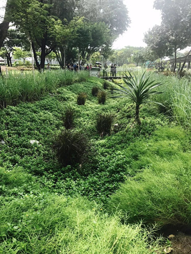 新加坡景觀專業考察 AECOM事務所訪問交流