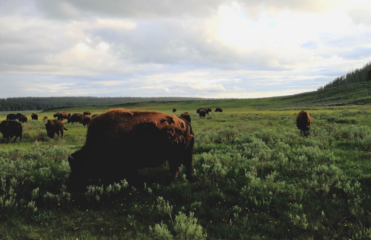 地之眼——多彩的黃石