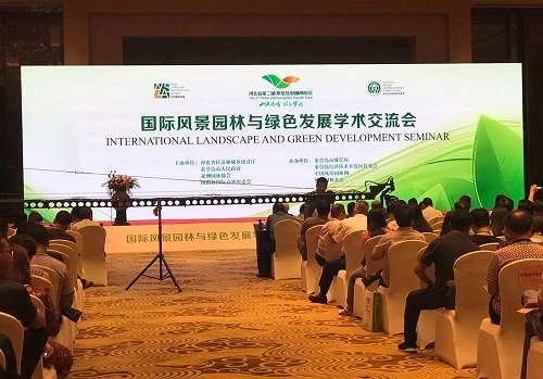 王力紅：從宏觀微觀兩層面入手 助力城市品質提升