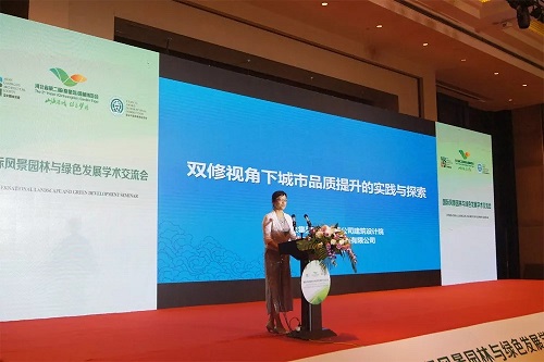 王力紅：從宏觀微觀兩層面入手 助力城市品質提升