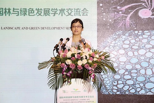 王力紅：從宏觀微觀兩層面入手 助力城市品質提升