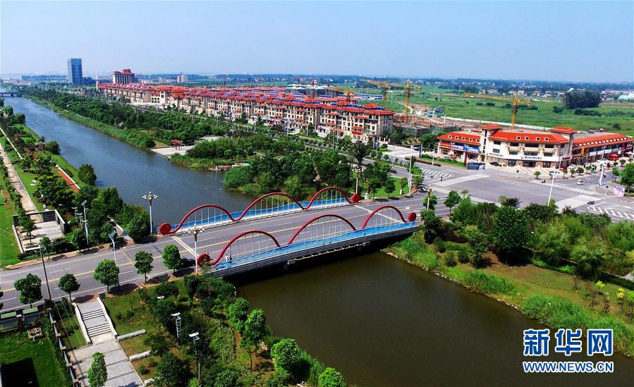 江蘇泰興：生態修復　“詩化”岸線