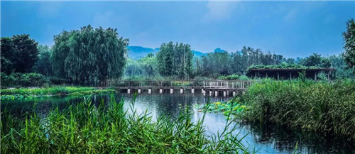 北林教師主持項(xiàng)目入圍羅莎·芭芭拉景觀獎(jiǎng)