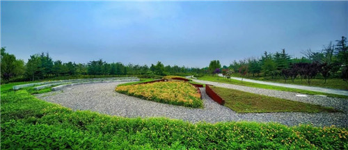 北林教師主持項(xiàng)目入圍羅莎·芭芭拉景觀獎(jiǎng)