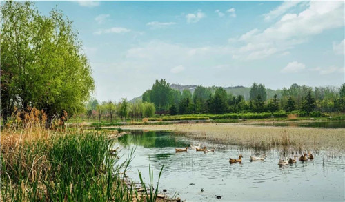 北林教師主持項(xiàng)目入圍羅莎·芭芭拉景觀獎(jiǎng)