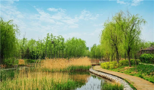 北林教師主持項(xiàng)目入圍羅莎·芭芭拉景觀獎(jiǎng)