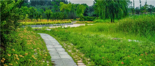 北林教師主持項(xiàng)目入圍羅莎·芭芭拉景觀獎(jiǎng)