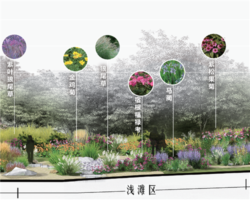 河北省第二屆(秦皇島)園博會花境創意作品——山海境