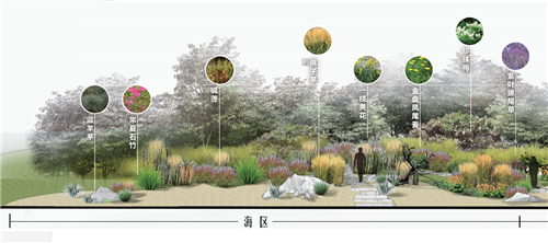 河北省第二屆(秦皇島)園博會花境創意作品——山海境