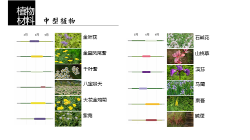 河北省第二屆(秦皇島)園博會花境創意作品——山海境