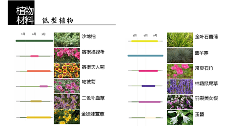 河北省第二屆(秦皇島)園博會花境創意作品——山海境