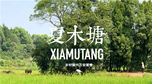 鄉(xiāng)村為底圖,設計為橋梁:2018第三屆國際高校建造大賽結(jié)果揭曉