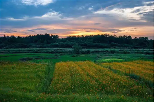鄉(xiāng)村為底圖,設計為橋梁:2018第三屆國際高校建造大賽結(jié)果揭曉