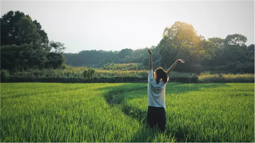 鄉(xiāng)村為底圖,設計為橋梁:2018第三屆國際高校建造大賽結(jié)果揭曉