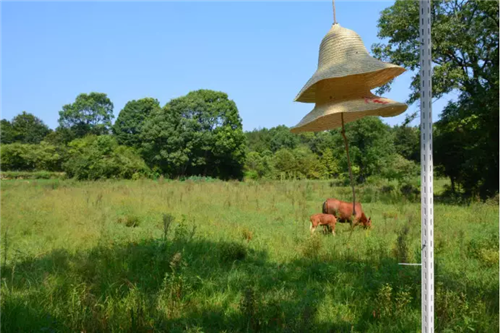 鄉(xiāng)村為底圖,設計為橋梁:2018第三屆國際高校建造大賽結(jié)果揭曉