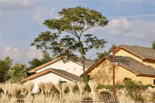 鄉(xiāng)村為底圖,設計為橋梁:2018第三屆國際高校建造大賽結(jié)果揭曉