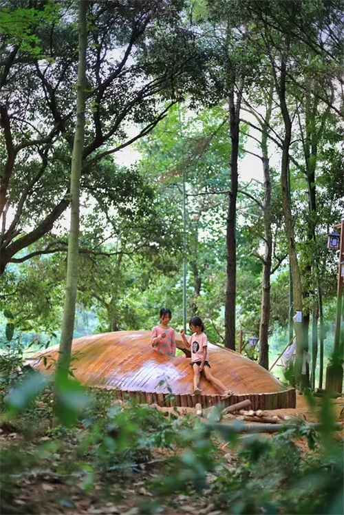 鄉(xiāng)村為底圖,設計為橋梁:2018第三屆國際高校建造大賽結(jié)果揭曉