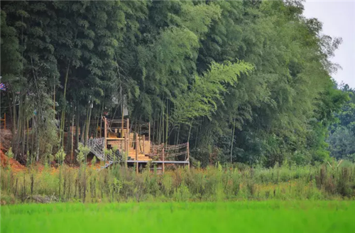 鄉(xiāng)村為底圖,設計為橋梁:2018第三屆國際高校建造大賽結(jié)果揭曉