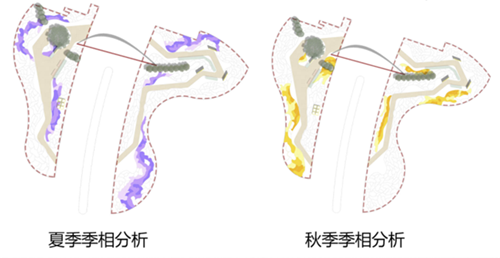 河北省第二屆(秦皇島)園博會花境創意作品——鏡花九象