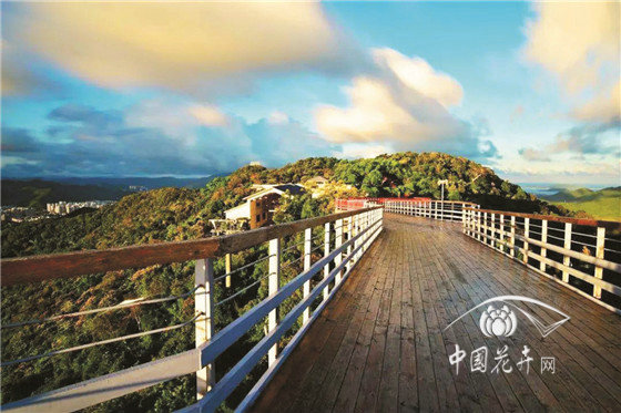 如何科學設計優美的景區道路