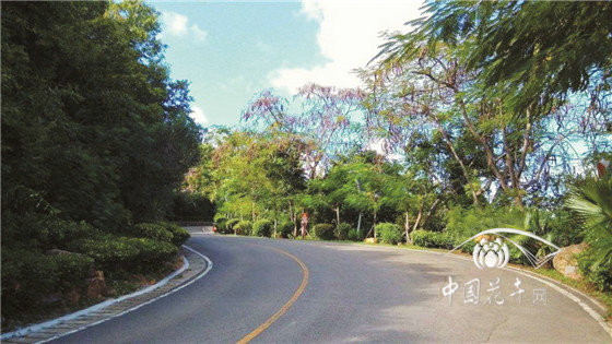 如何科學設計優美的景區道路