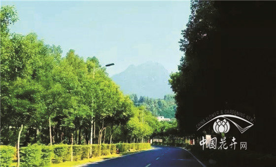 如何科學設計優美的景區道路