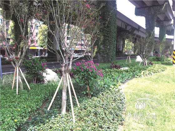 橋下綠地繽紛空間,城市花境精致組團